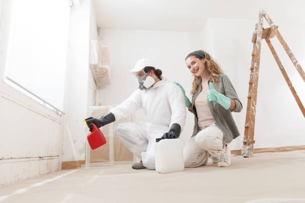 Iota, LA Mold Removal Company